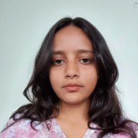 Afrin Hussain